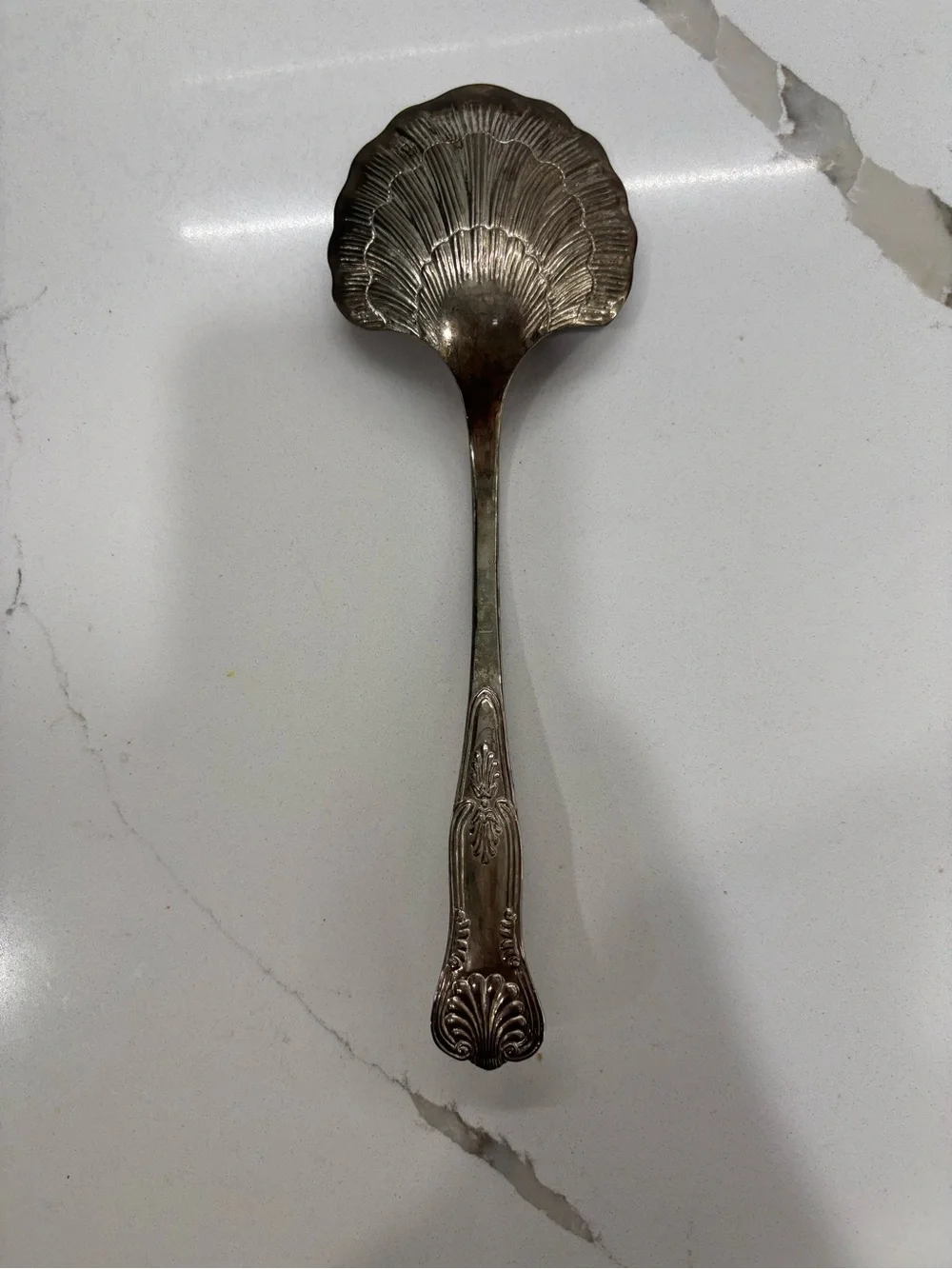 Ornate Silver Shell Serving Spoon - Classic Home Dining